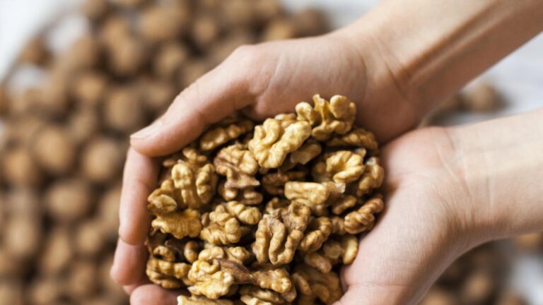 NUECES : Un aliado para corazón y cerebro