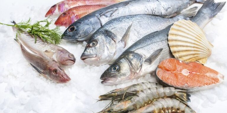 La importancia de consumir pescados