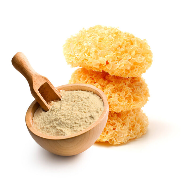 Tremella – El hongo que retrasa el envejecimiento