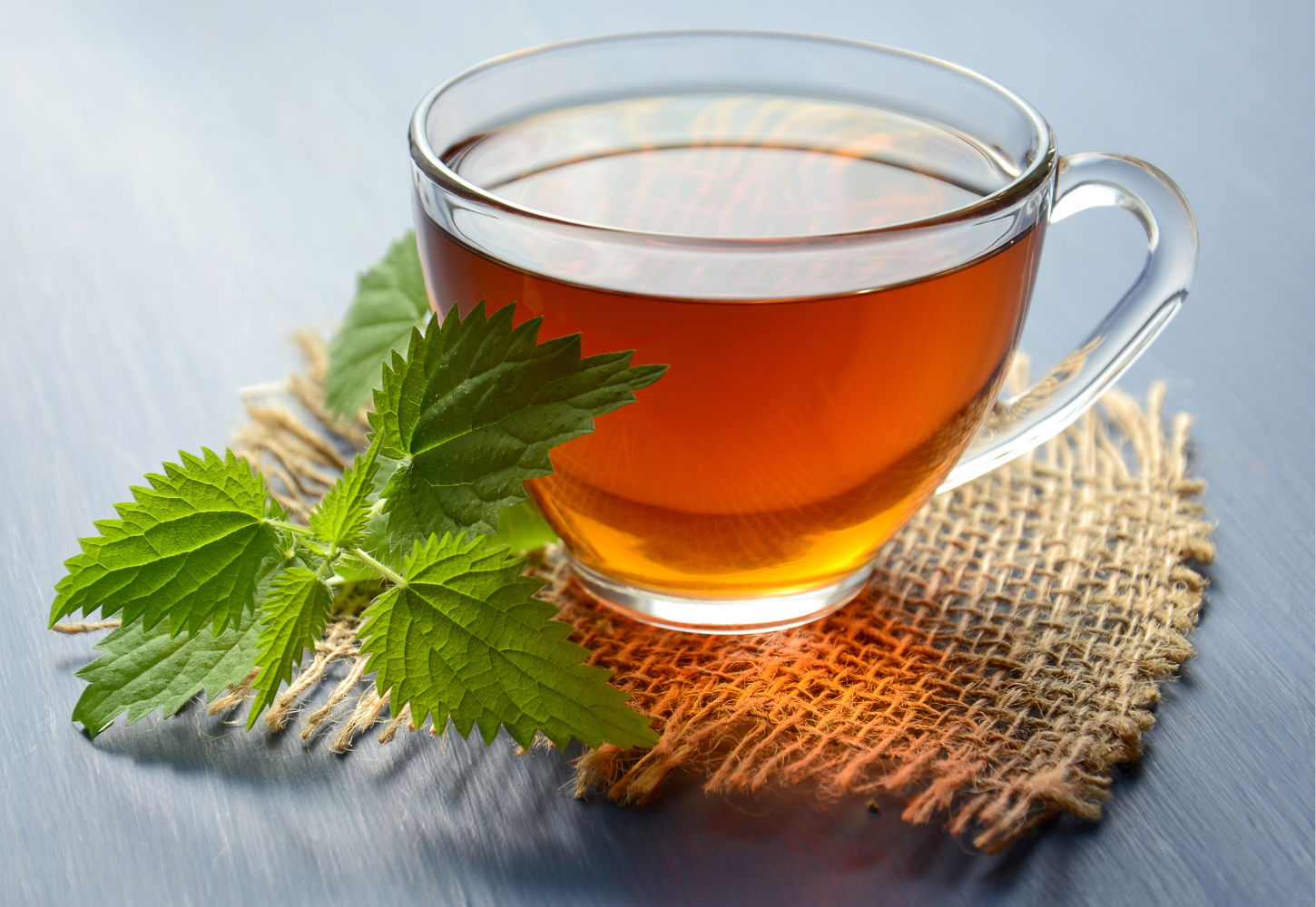 Té: Tradición y bienestar en una taza