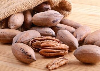 Nuez de Pecán,una visión sarmientina