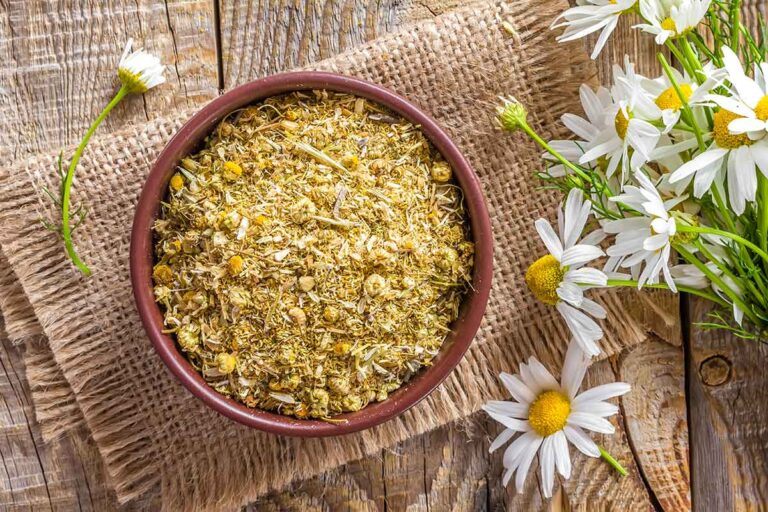 Hierbas para rejuvenecer la piel