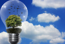 ¿El futuro es eléctrico?