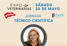 Micoterapia veterinaria