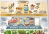 Tres pilares para cuidar la salud